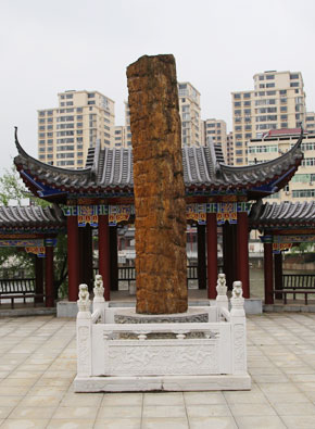 树化玉（树化玉广场。。。。。